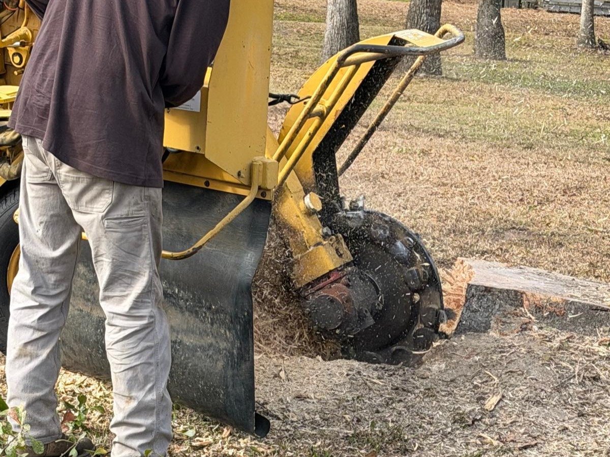 El Costeño Tree Service LLC